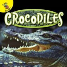 Cover image of Crocodiles