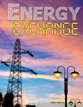 Cover image of Energy exchange