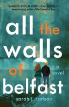 Cover image of All the walls of Belfast