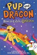 Cover image of How to catch a unicorn