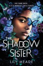 Cover image of The shadow sister