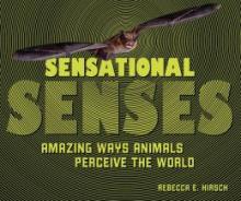 Cover image of Sensational senses