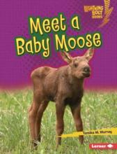 Cover image of Meet a baby moose