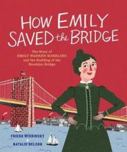 Cover image of How Emily saved the bridge