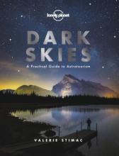 Cover image of Dark skies