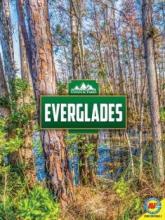 Cover image of Everglades