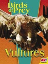 Cover image of Vultures