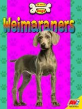 Cover image of Weimaraners