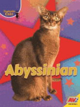 Cover image of Abyssinian