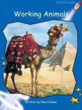 Cover image of Working animals