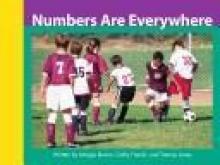 Cover image of Numbers Are Everywhere