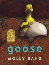 Cover image of Goose