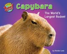 Cover image of Capybara