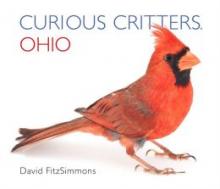 Cover image of Curious critters