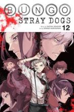 Cover image of Bungo stray dogs