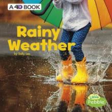 Cover image of Rainy weather