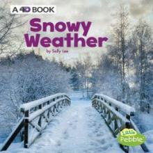 Cover image of Snowy weather