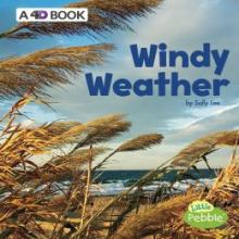 Cover image of Windy weather