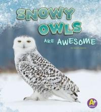 Cover image of Snowy owls are awesome