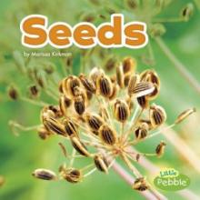 Cover image of Seeds