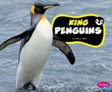 Cover image of King penguins