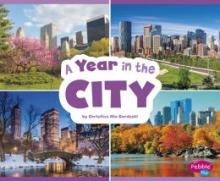 Cover image of A year in the city