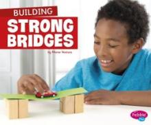 Cover image of Building strong bridges