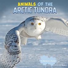 Cover image of Animals of the Arctic tundra