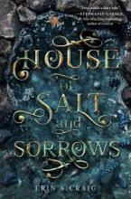 Cover image of House of salt and sorrows