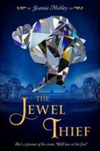 Cover image of The jewel thief