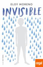 Cover image of Invisible