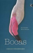 Cover image of Bocas