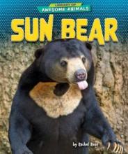 Cover image of Sun bear