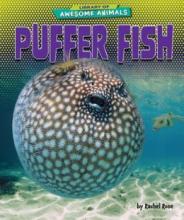 Cover image of Puffer fish