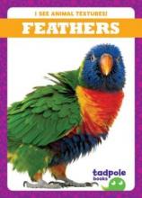 Cover image of Feathers