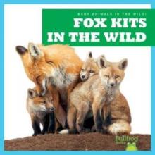 Cover image of Fox kits in the wild