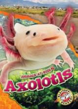 Cover image of Axolotls