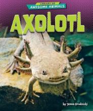 Cover image of Axolotl