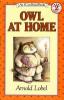 Cover image of Owl at home