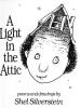 Cover image of A light in the attic