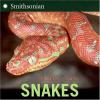 Cover image of Snakes