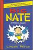 Cover image of Big Nate Strikes Again