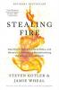 Cover image of Stealing fire
