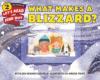 Cover image of What makes a blizzard?