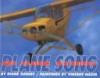 Cover image of Plane song