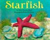 Cover image of Starfish