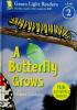 Cover image of A butterfly grows