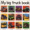 Cover image of My big truck book