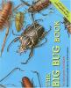 Cover image of The big bug book