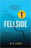 Cover image of Fellside